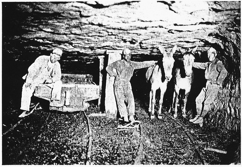 Egypt Coal Mine