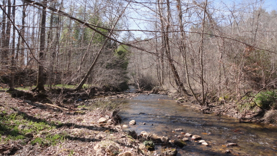 McDowell County