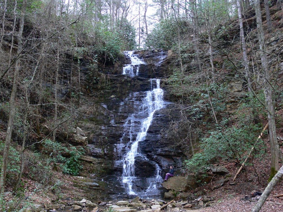 Reedy Branch Falls
